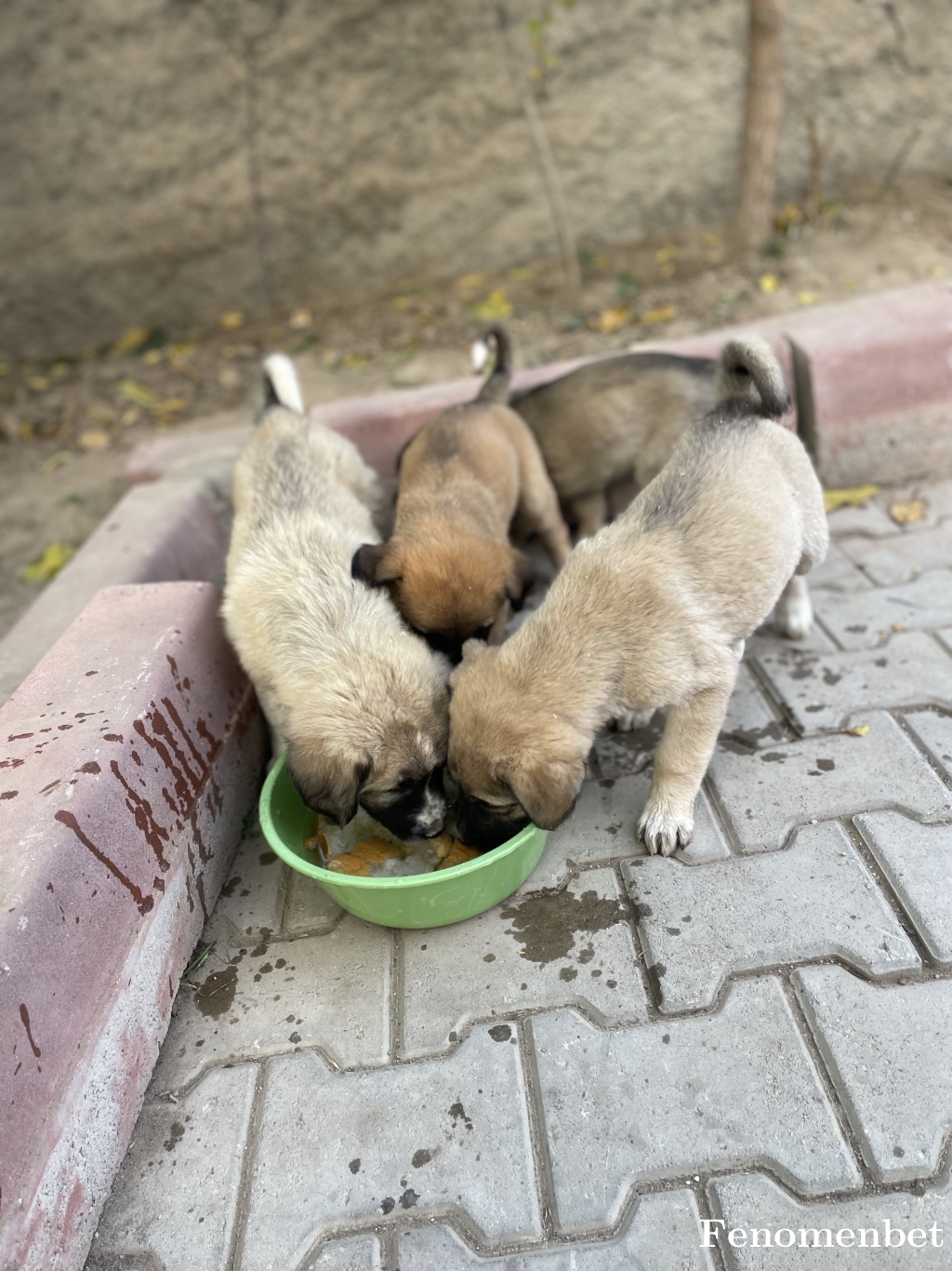 Boran91 tarafından paylaşıldı