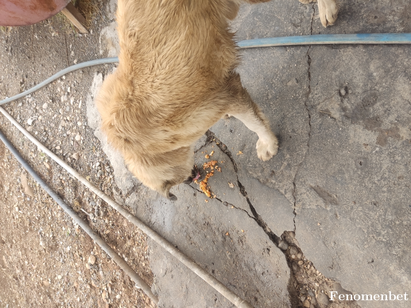 Slmn17  tarafından paylaşıldı