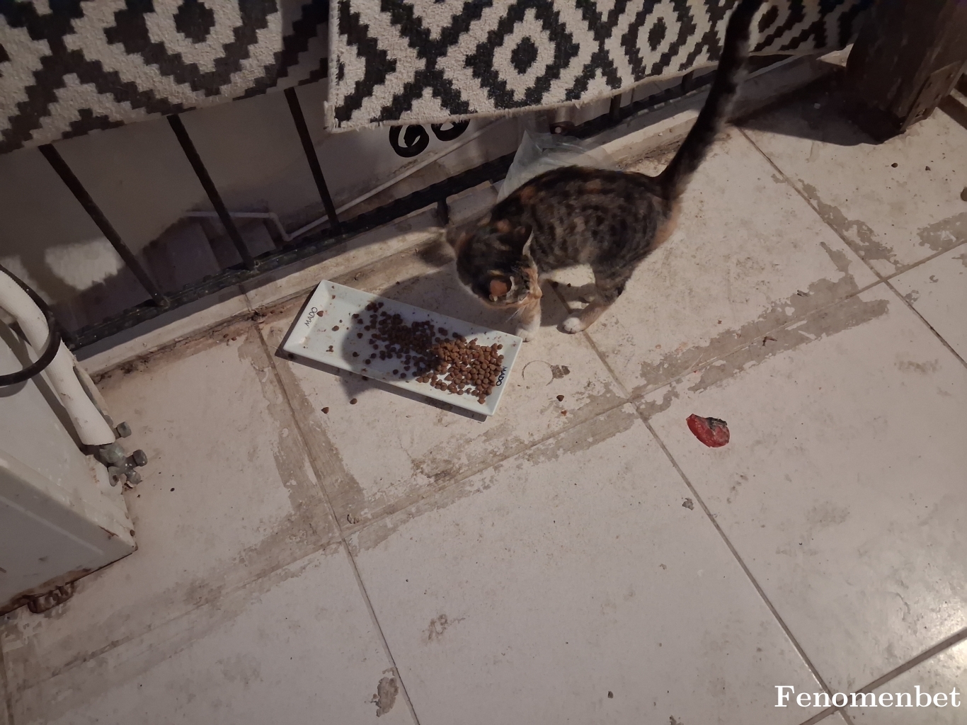 Mylife00 tarafından paylaşıldı