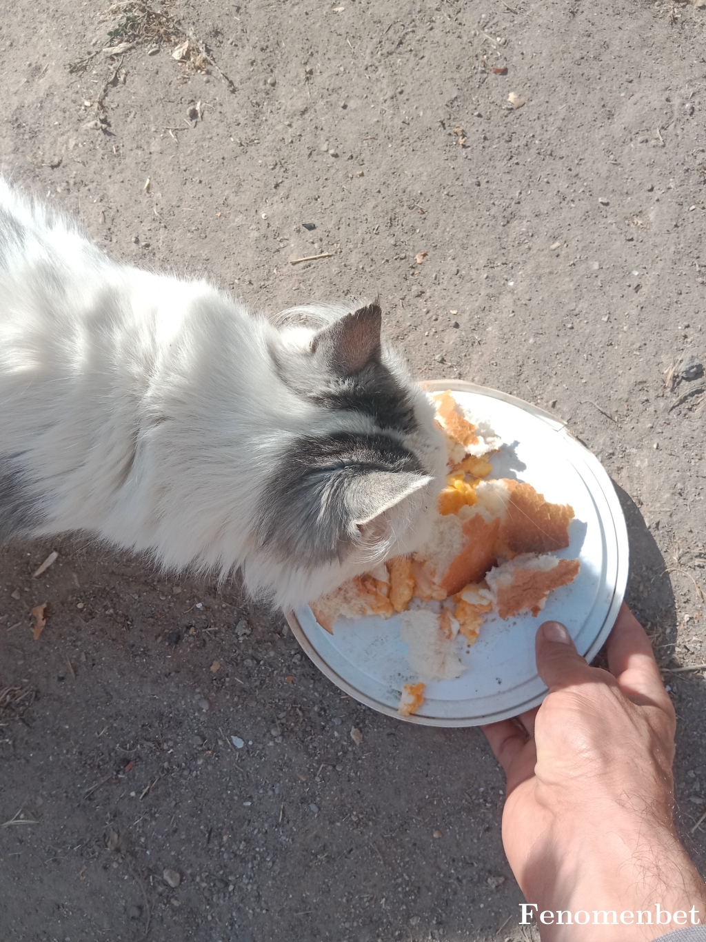 68bektas68 tarafından paylaşıldı