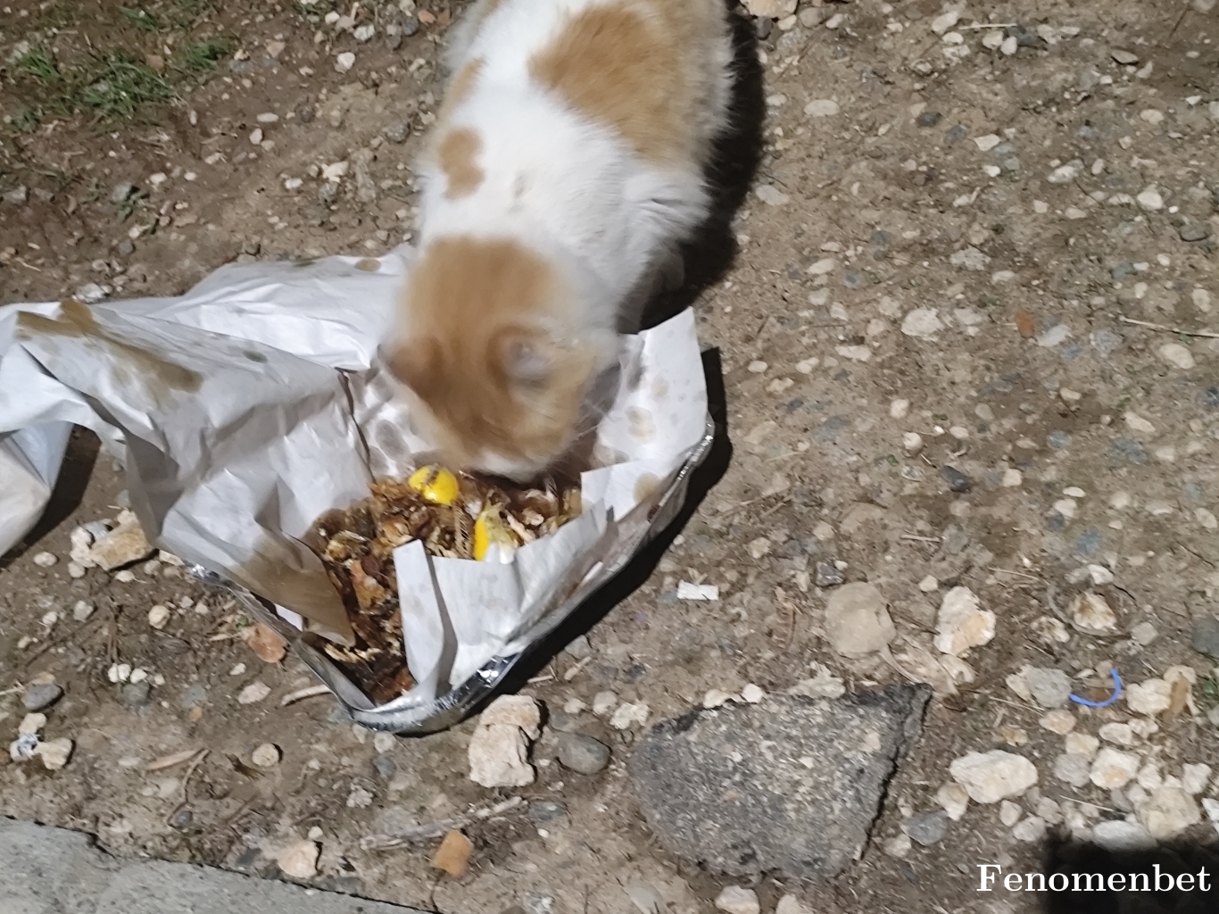 Sampiyon tarafından paylaşıldı