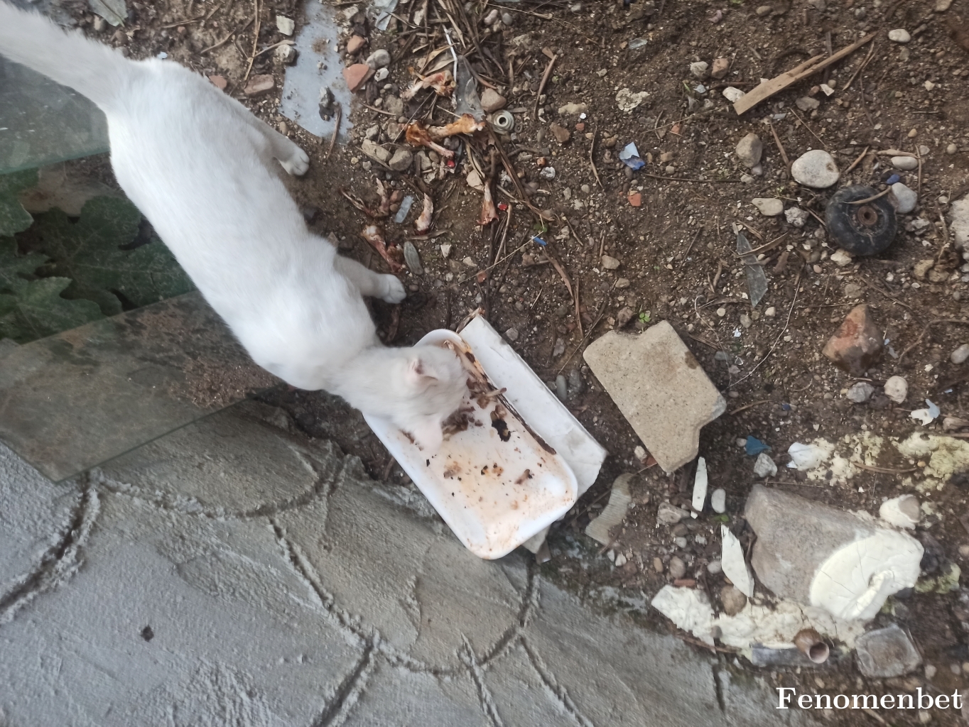 Hamzabey07 tarafından paylaşıldı