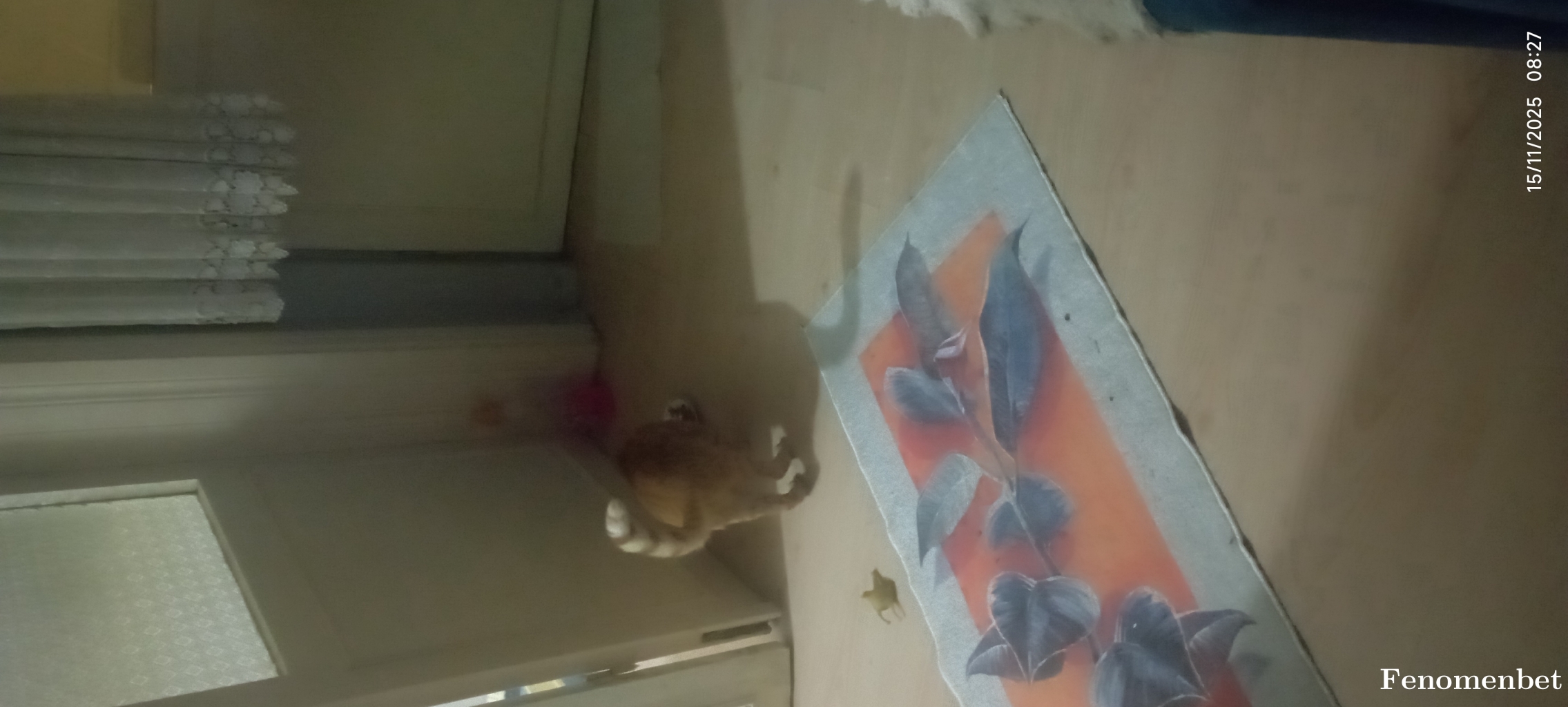 Kuzgun35 tarafından paylaşıldı