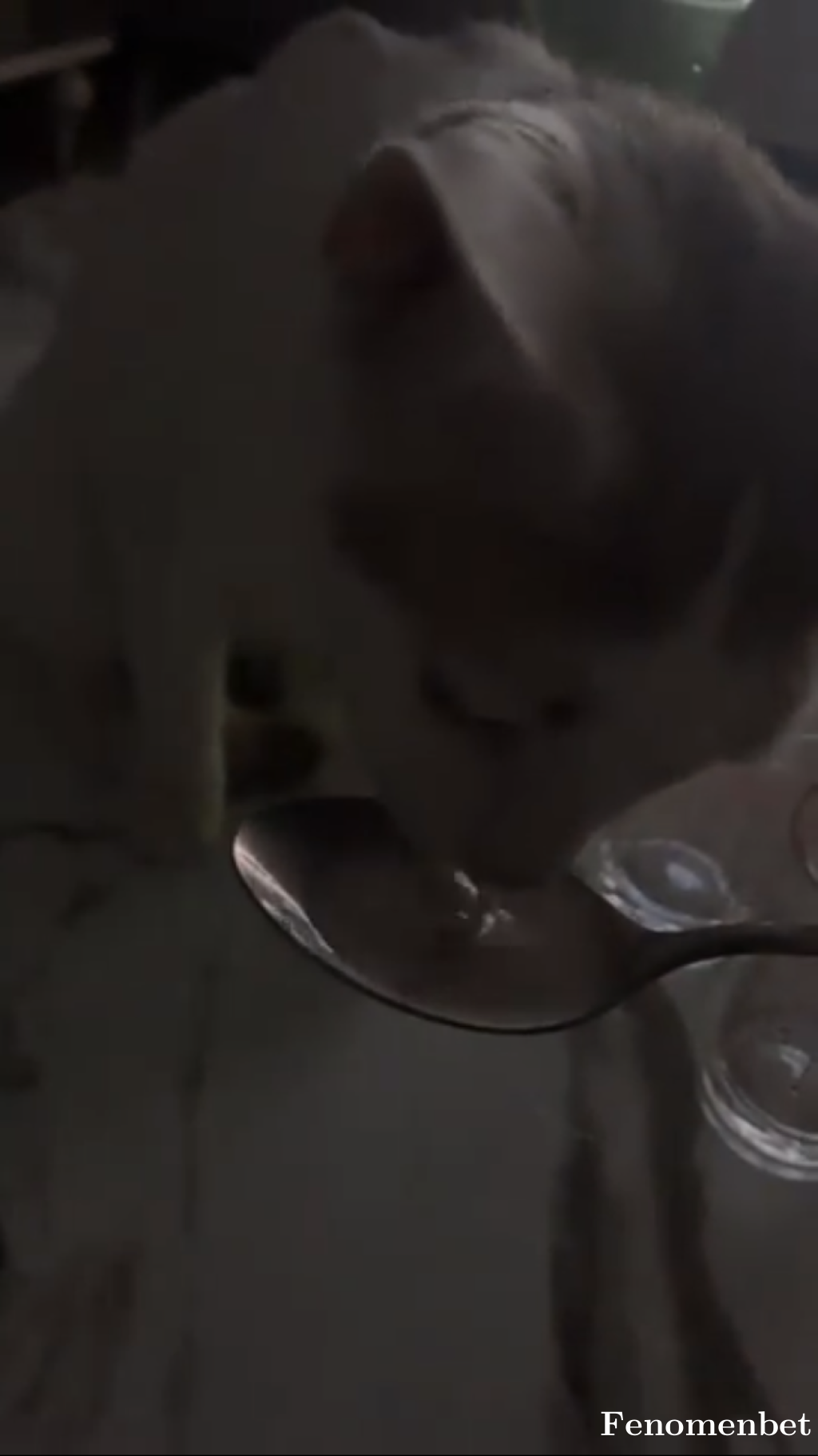 Ugurcn60 tarafından paylaşıldı