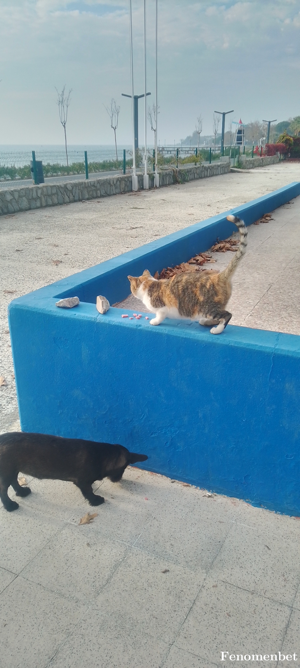 Aliglgc4134 tarafından paylaşıldı