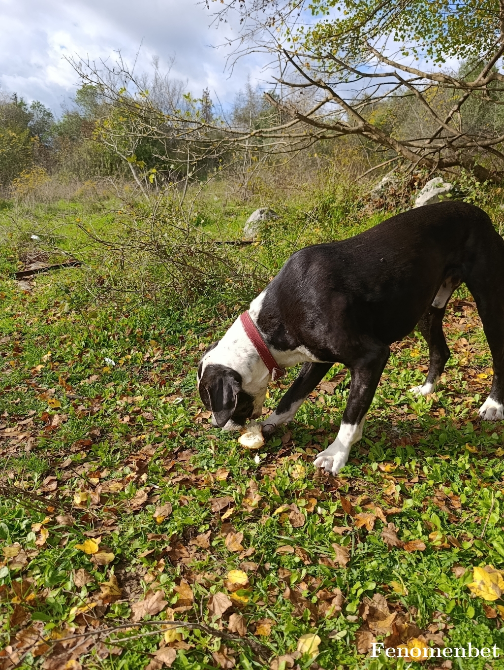 bayir2905 tarafından paylaşıldı