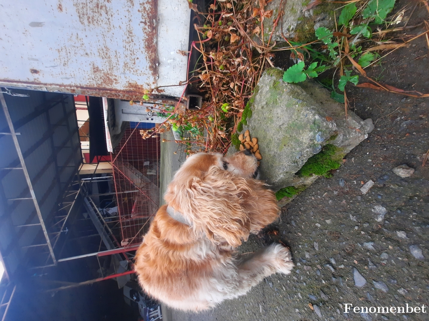 gol5361 tarafından paylaşıldı