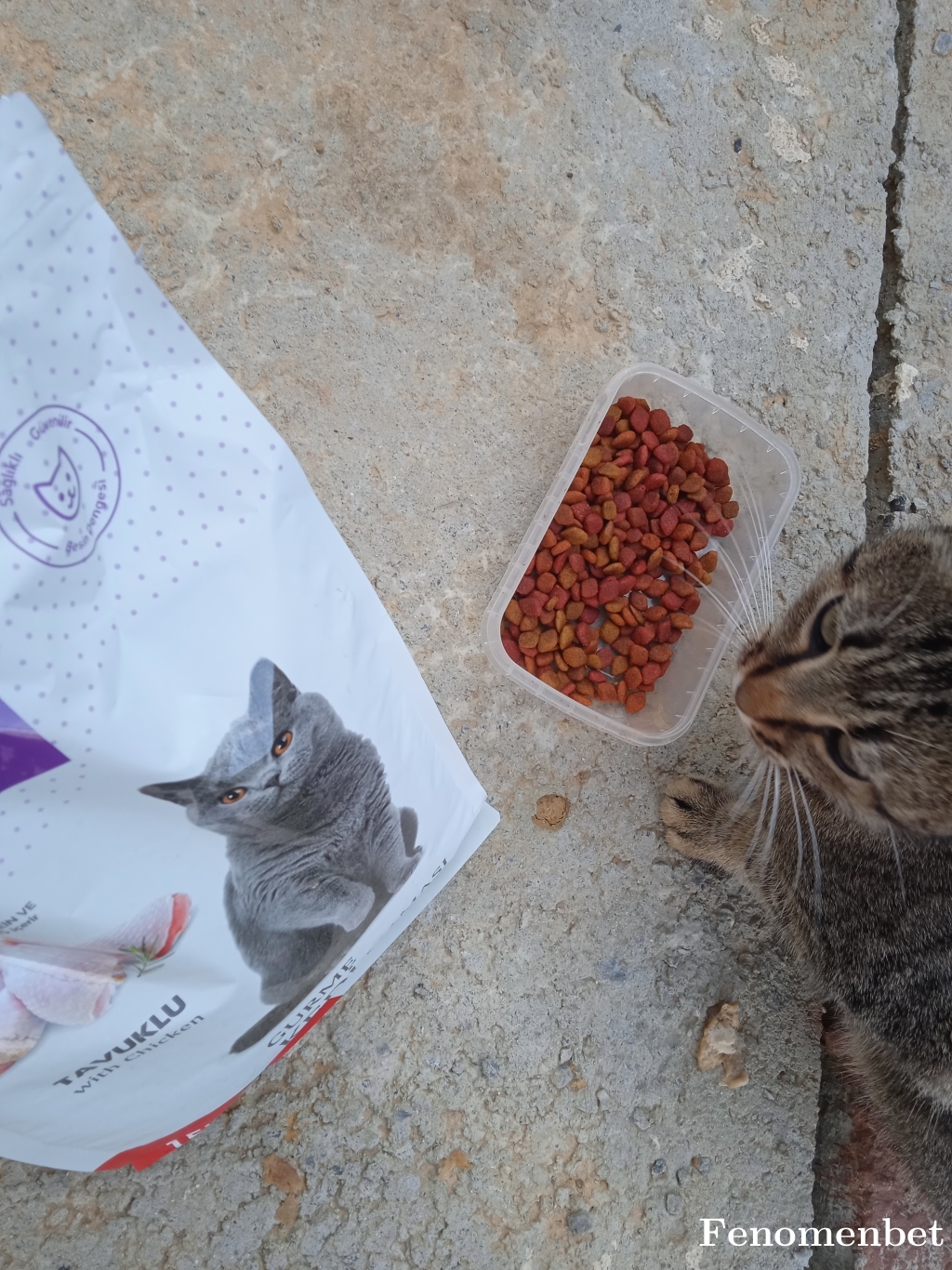 Kralzoro52 tarafından paylaşıldı