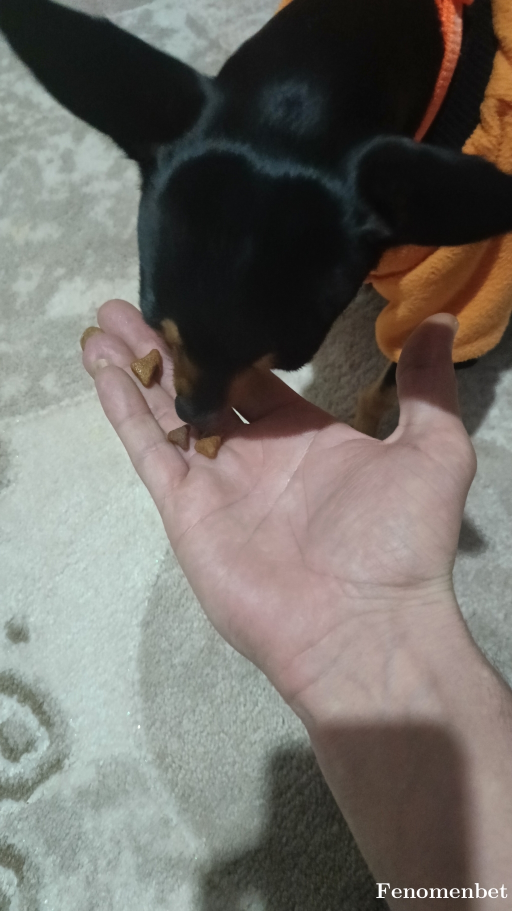 Recepp1963 tarafından paylaşıldı