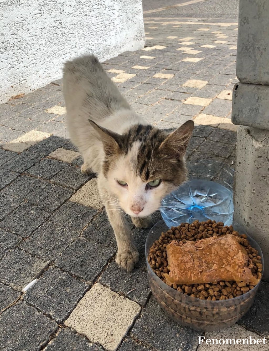 ceremi tarafından paylaşıldı