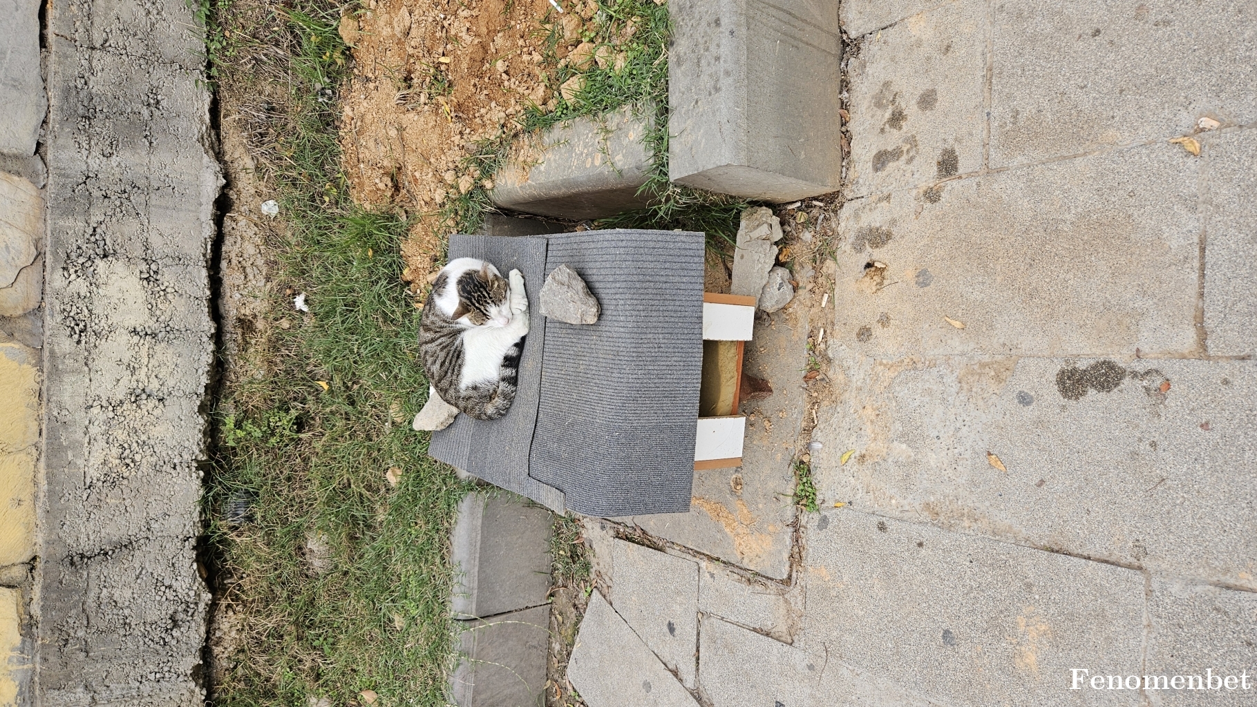 betboy17  tarafından paylaşıldı