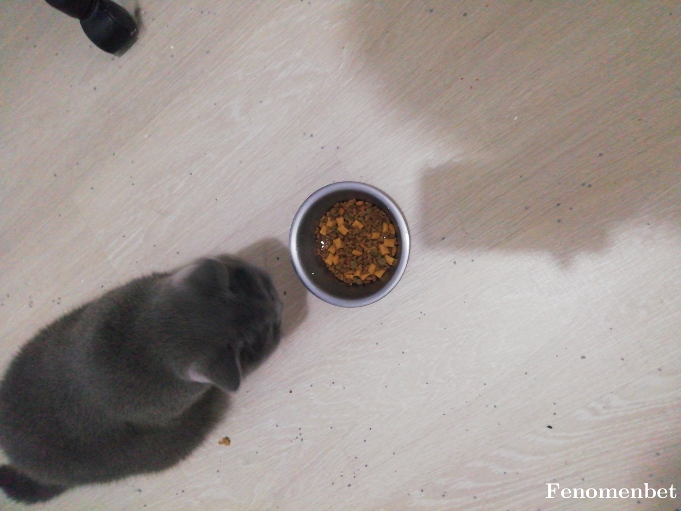 Seckin6280 tarafından paylaşıldı