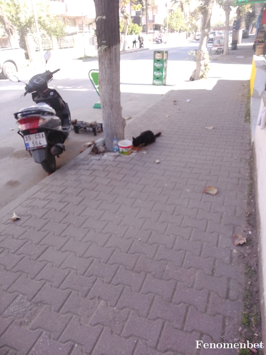 Metok35 tarafından paylaşıldı