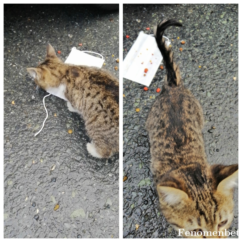 Cureee tarafından paylaşıldı