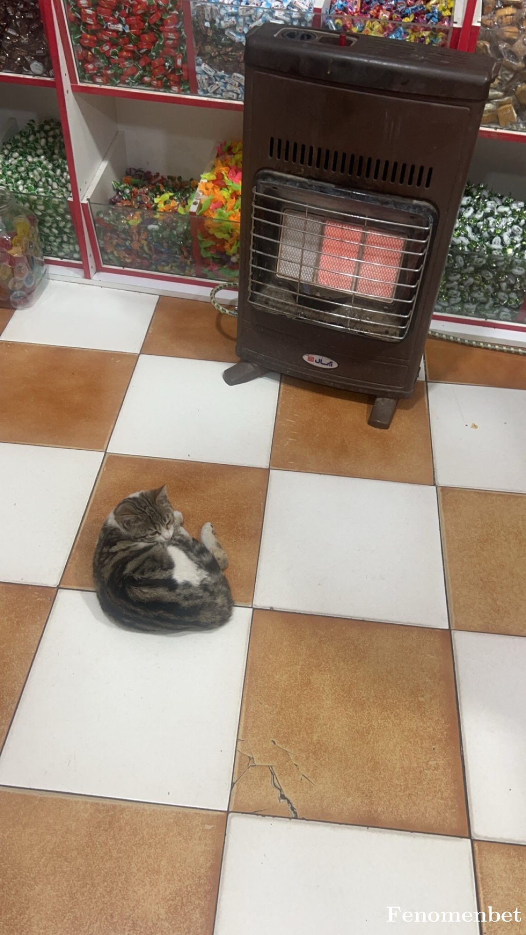 mhmd65 tarafından paylaşıldı