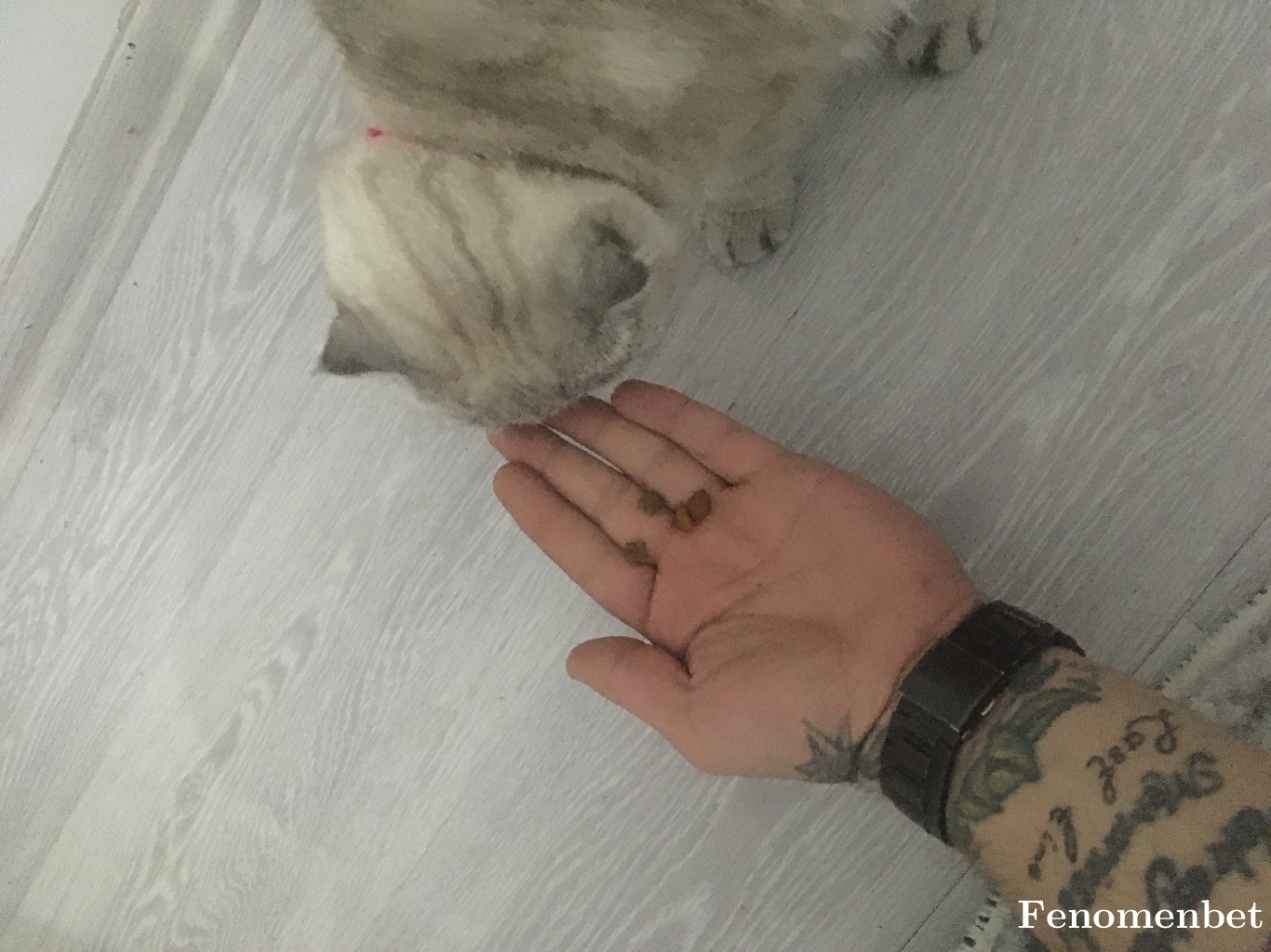 Orhnsrky75 tarafından paylaşıldı