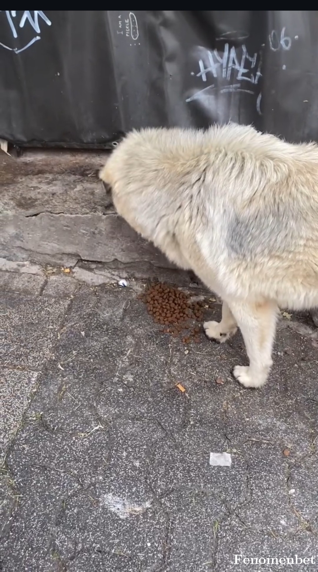 Nike3535 tarafından paylaşıldı