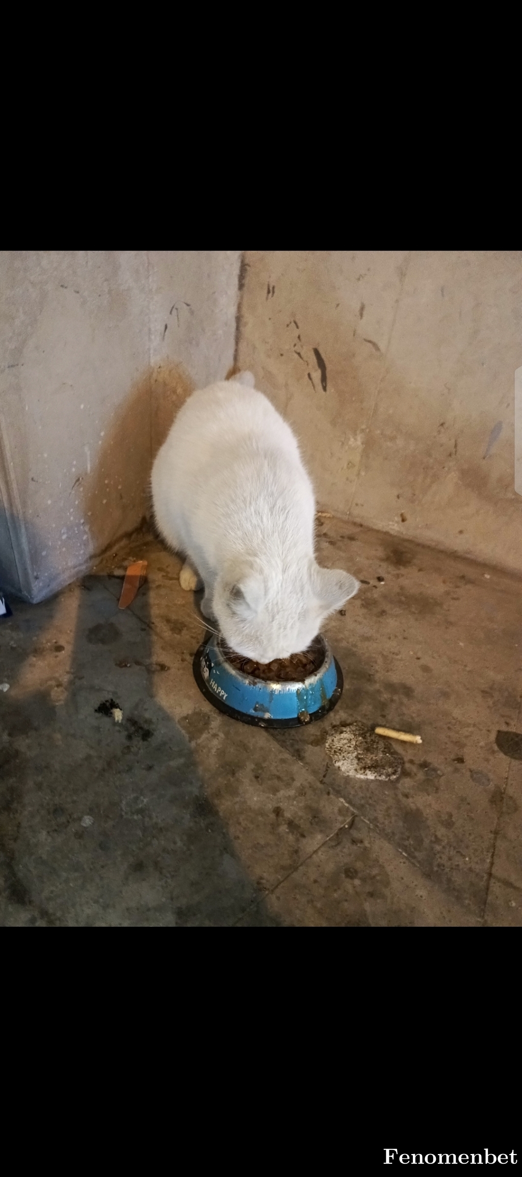 M10066 tarafından paylaşıldı