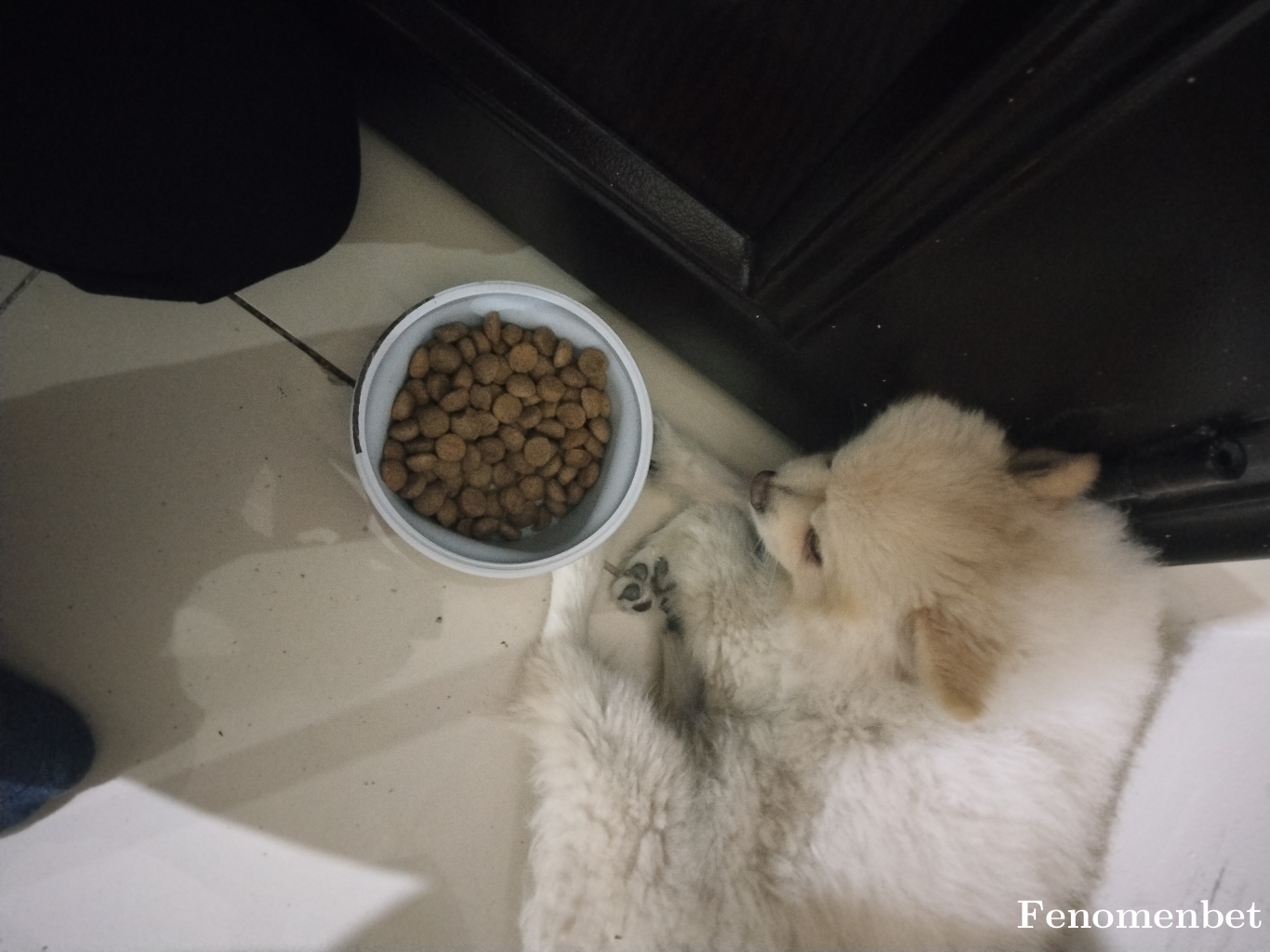 TKainat  tarafından paylaşıldı