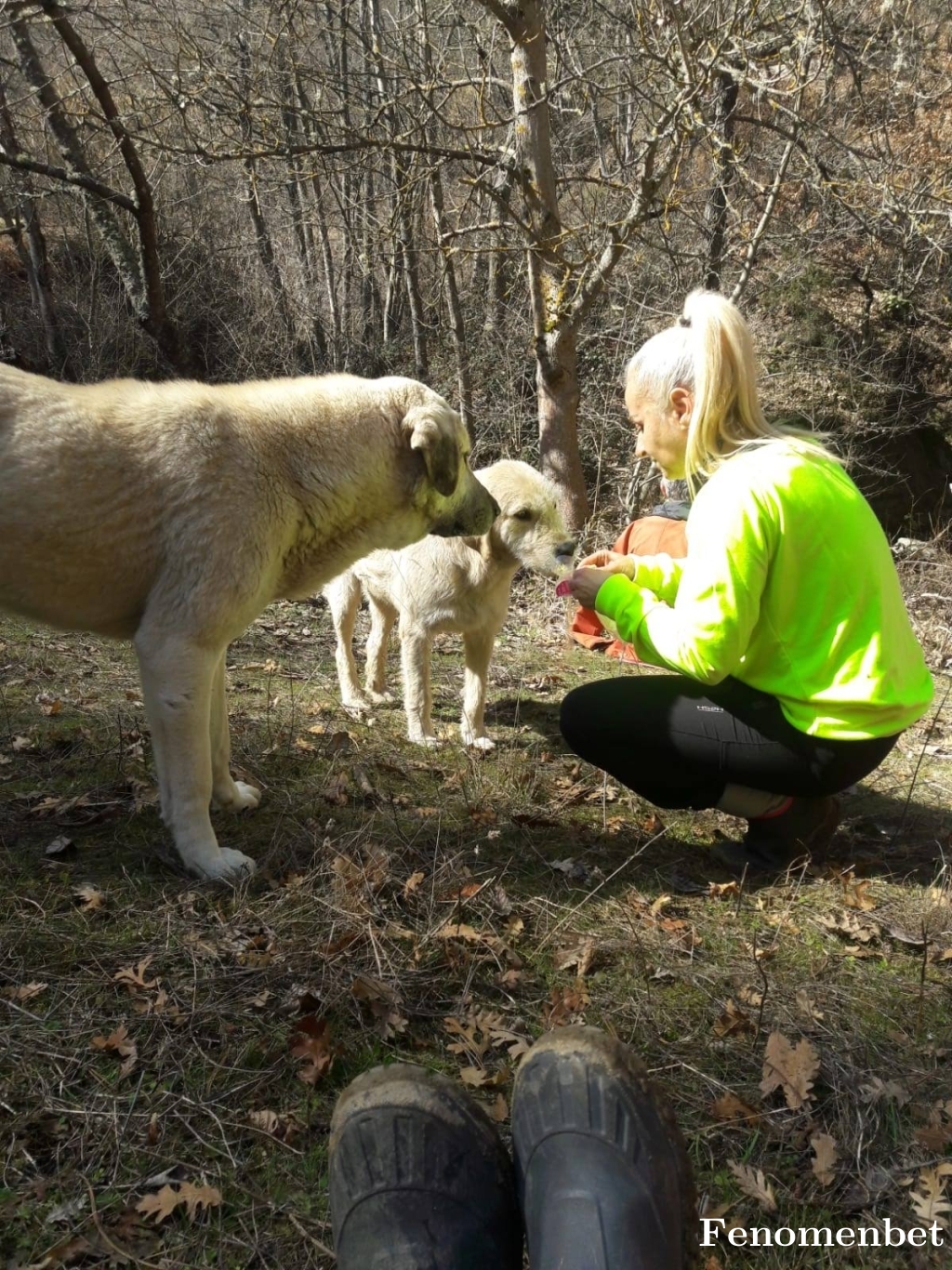 Tutu68 tarafından paylaşıldı