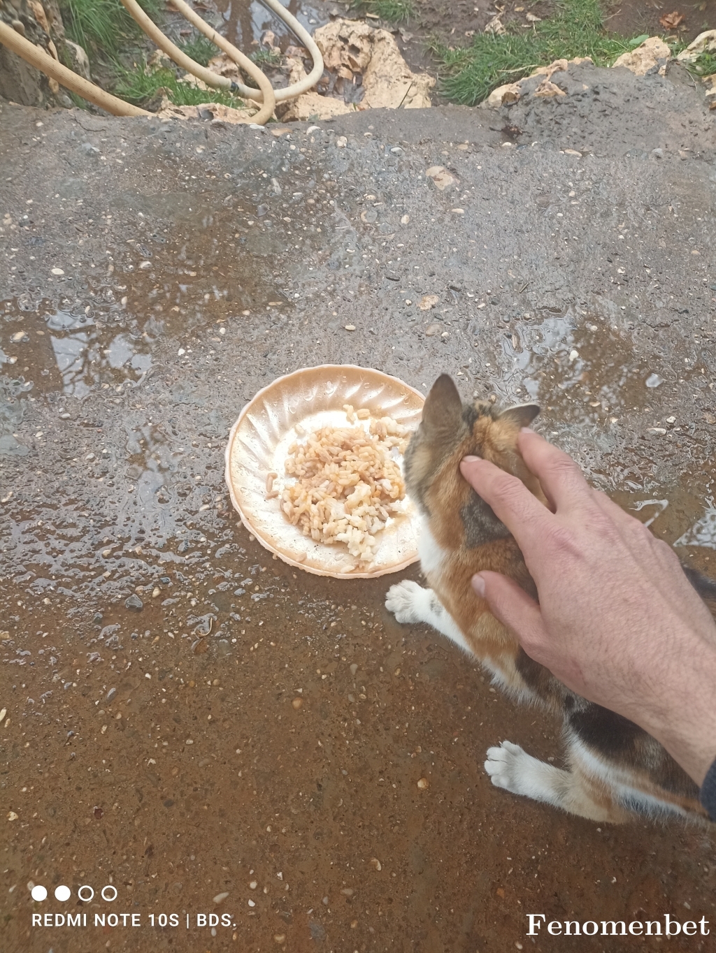 Hsnbds33 tarafından paylaşıldı