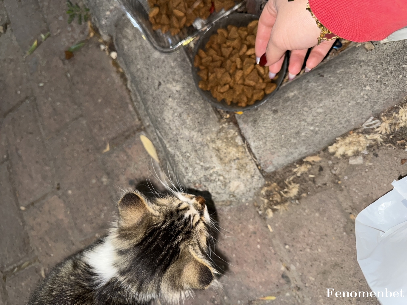 ZEHRAa07 tarafından paylaşıldı