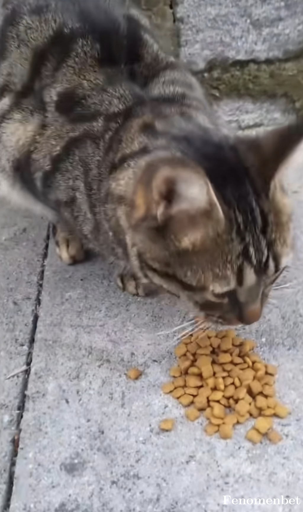 messss24 tarafından paylaşıldı