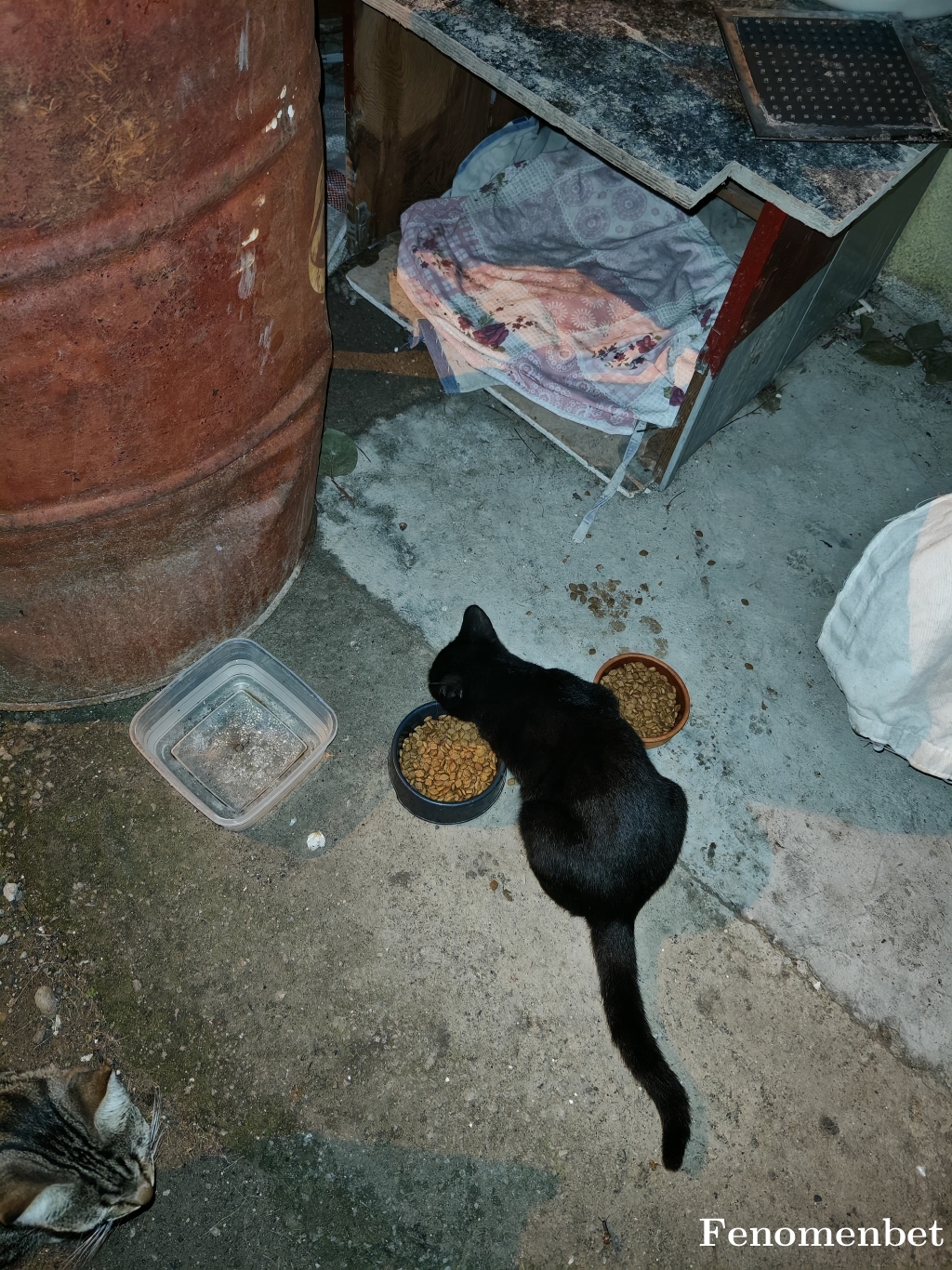 brkcnzr tarafından paylaşıldı