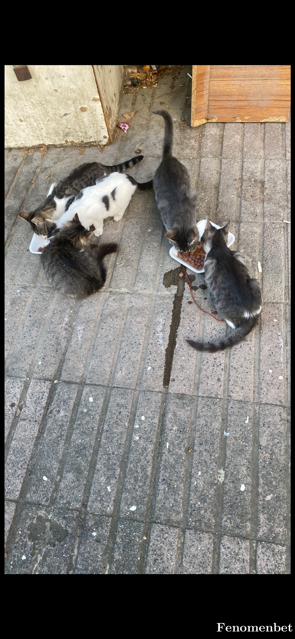 Mavristanbul  tarafından paylaşıldı