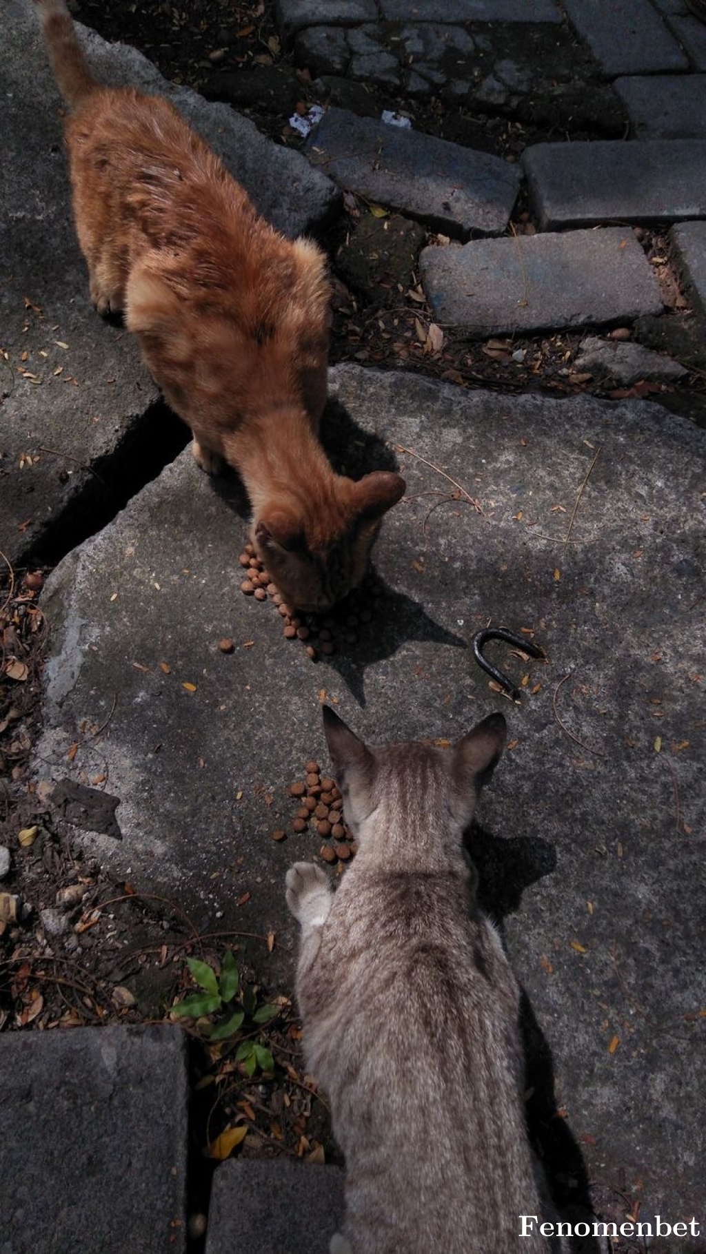 Tugce1907 tarafından paylaşıldı