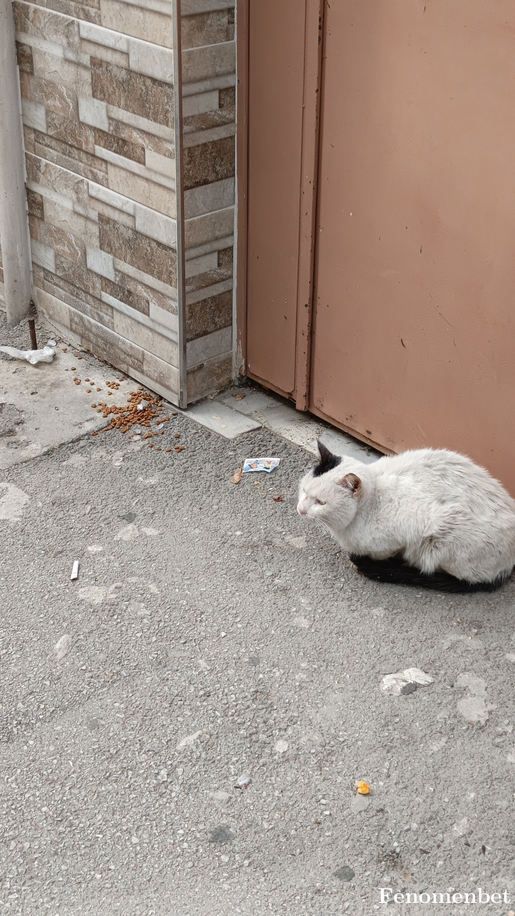 Slhhmrc32 tarafından paylaşıldı