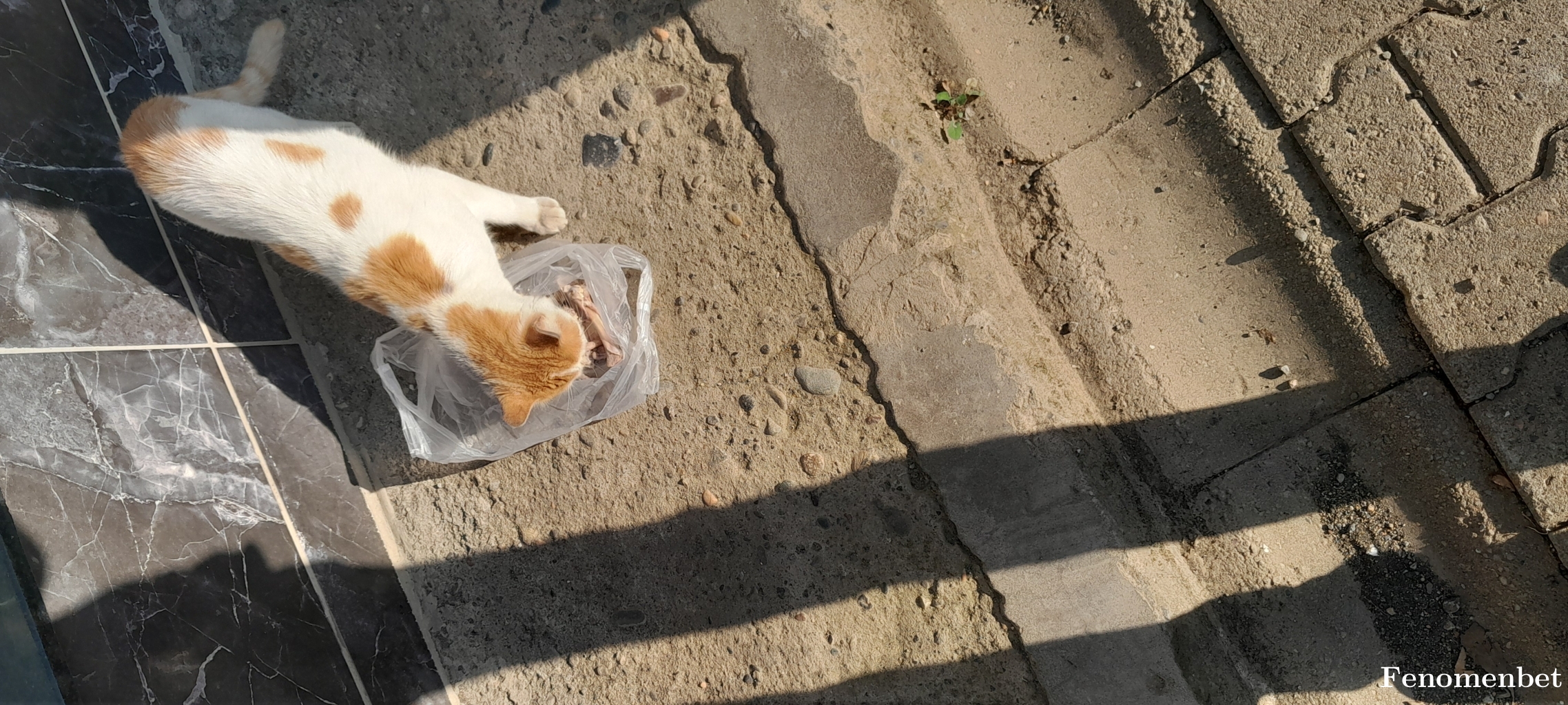 Flyman777 tarafından paylaşıldı