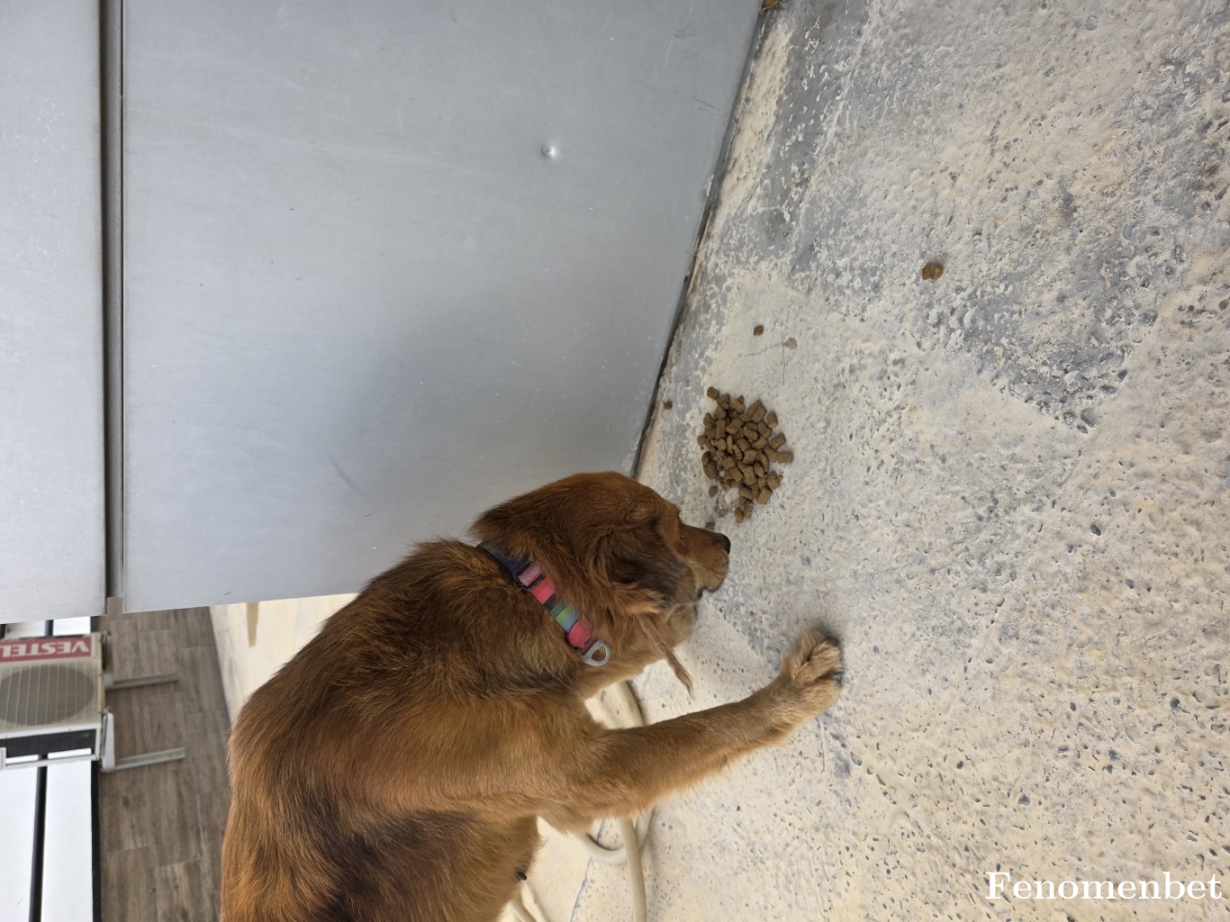 Sokican tarafından paylaşıldı