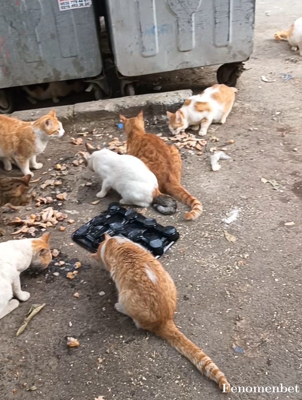 Drnozlem tarafından paylaşıldı