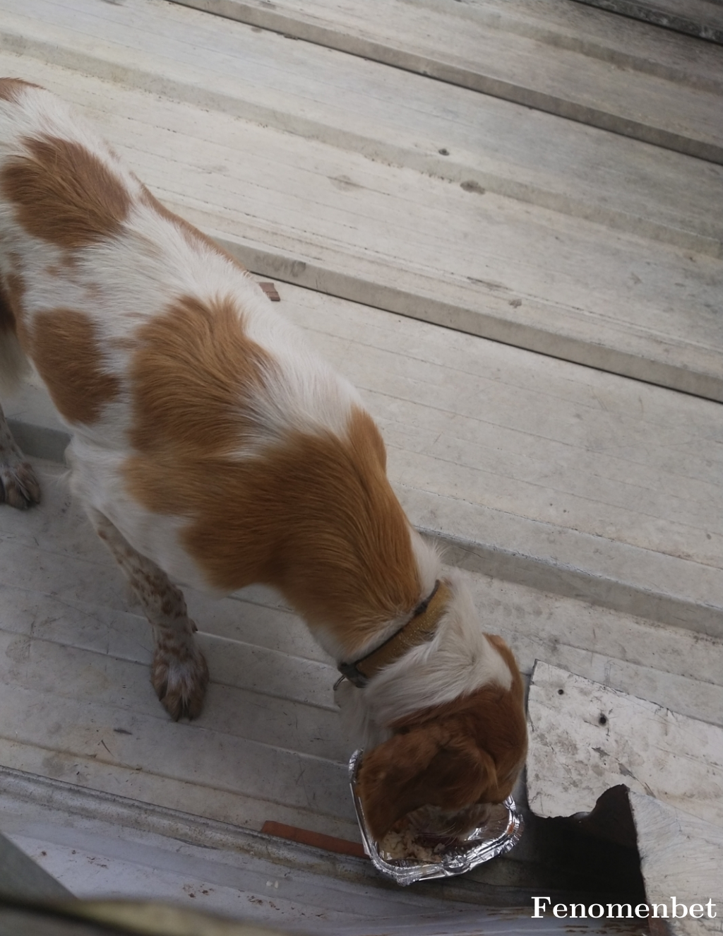 Chuky13  tarafından paylaşıldı