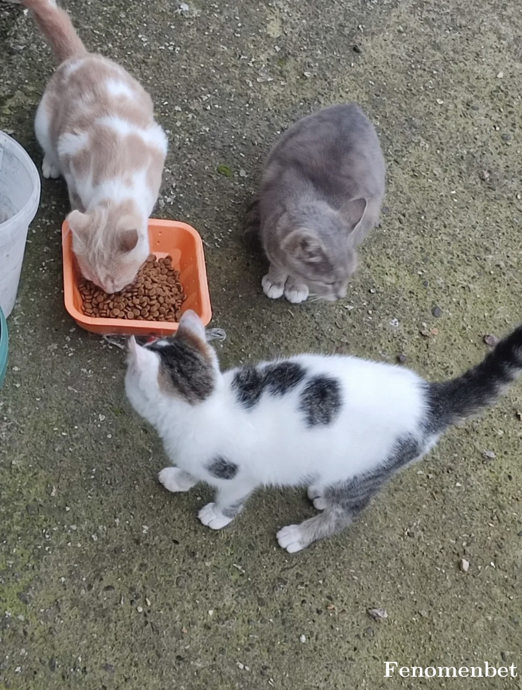 anil10ca tarafından paylaşıldı