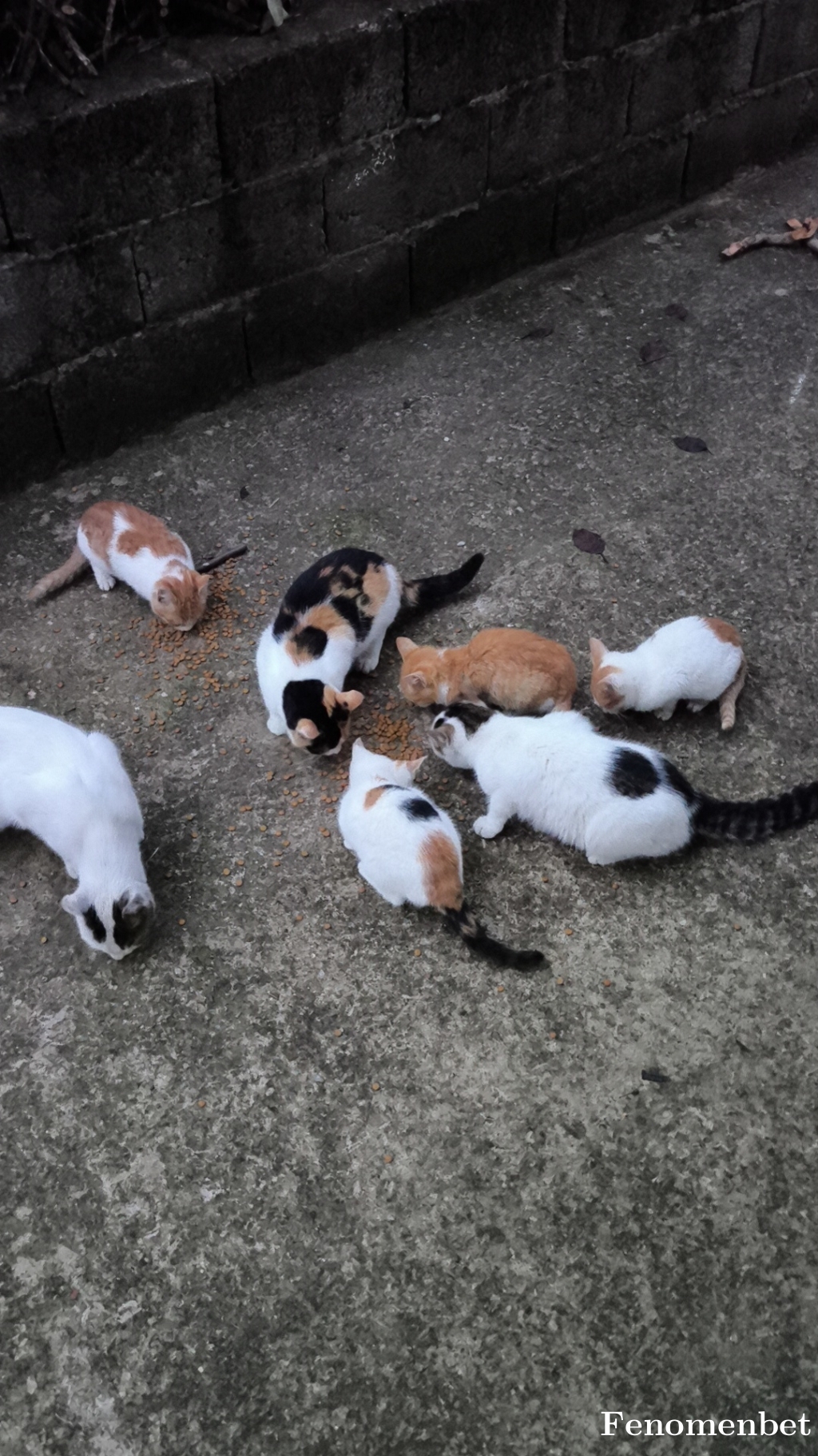 (rmzndmrby58) tarafından paylaşıldı