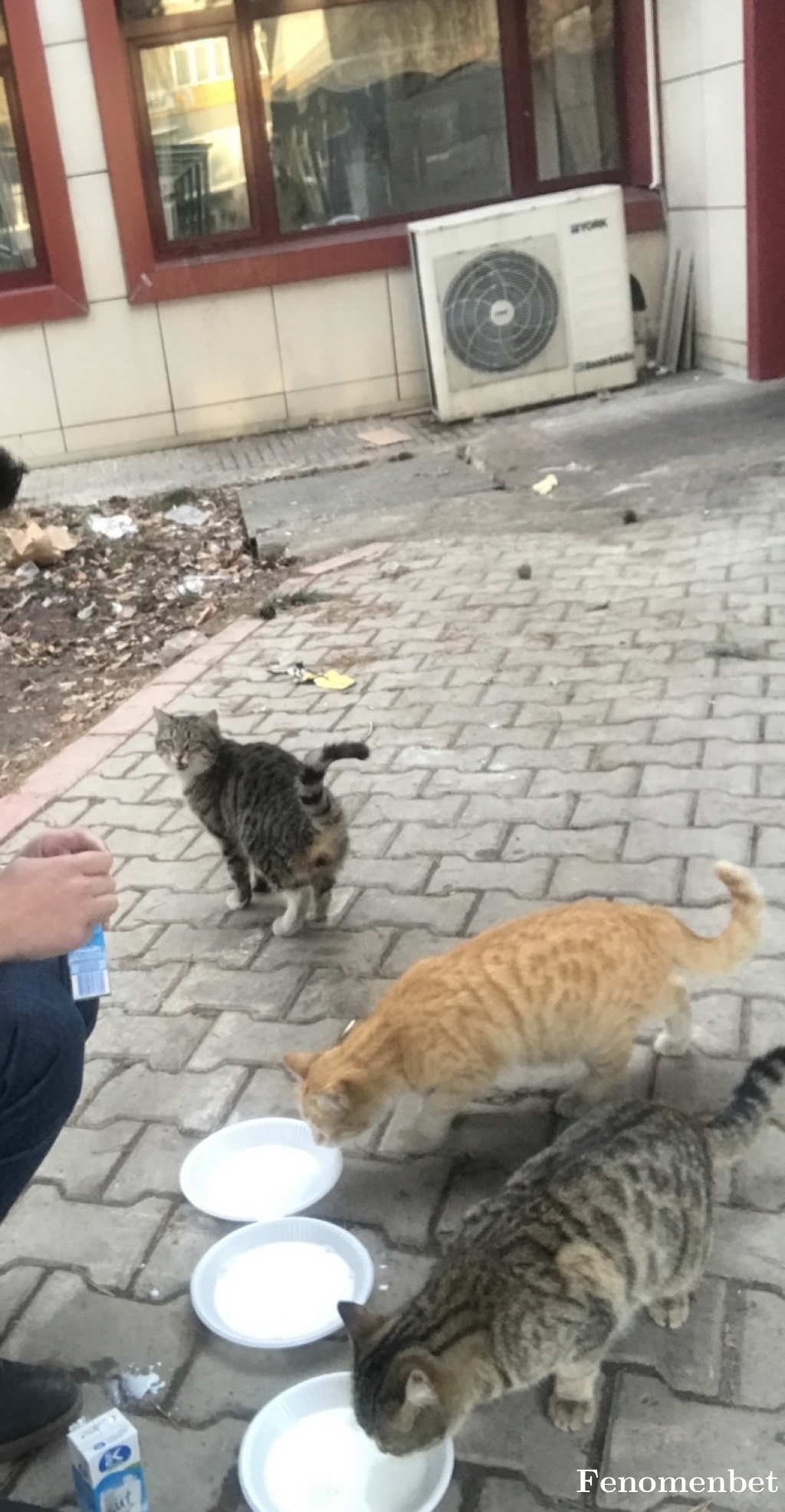 Alper626 tarafından paylaşıldı