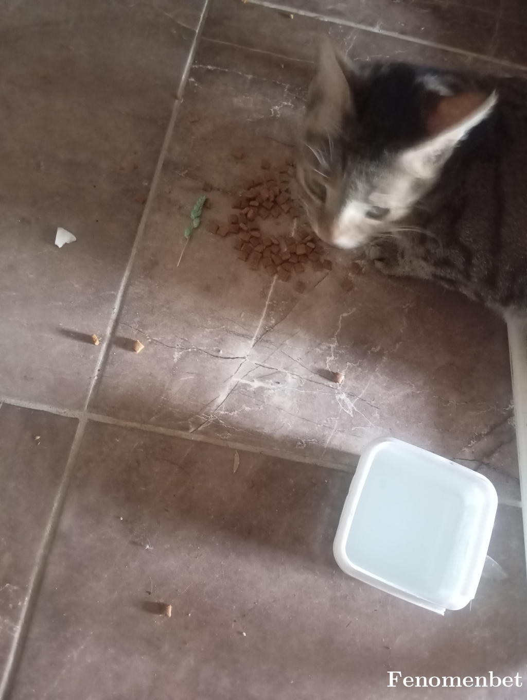 Tolga5555 tarafından paylaşıldı