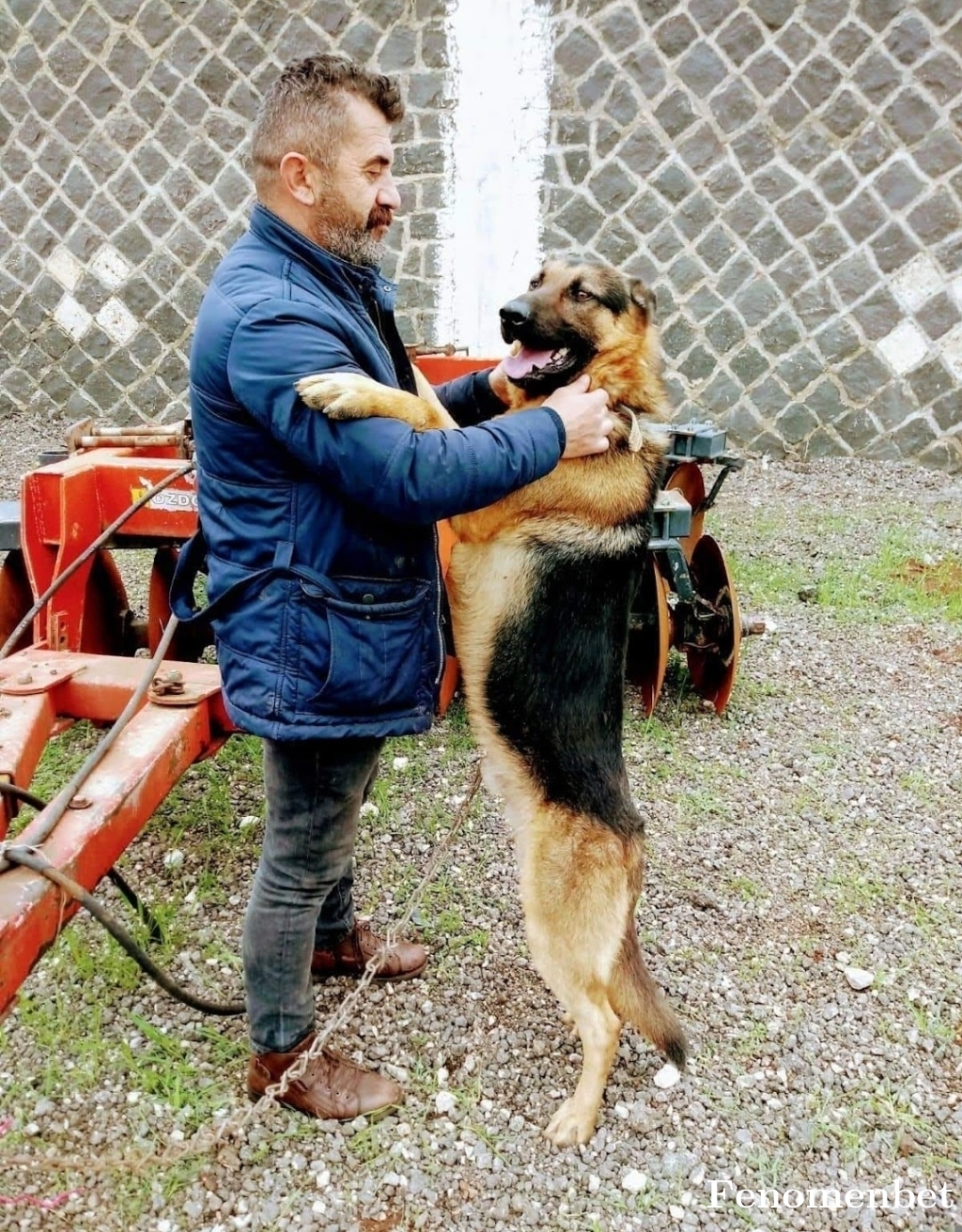 Babat73  tarafından paylaşıldı