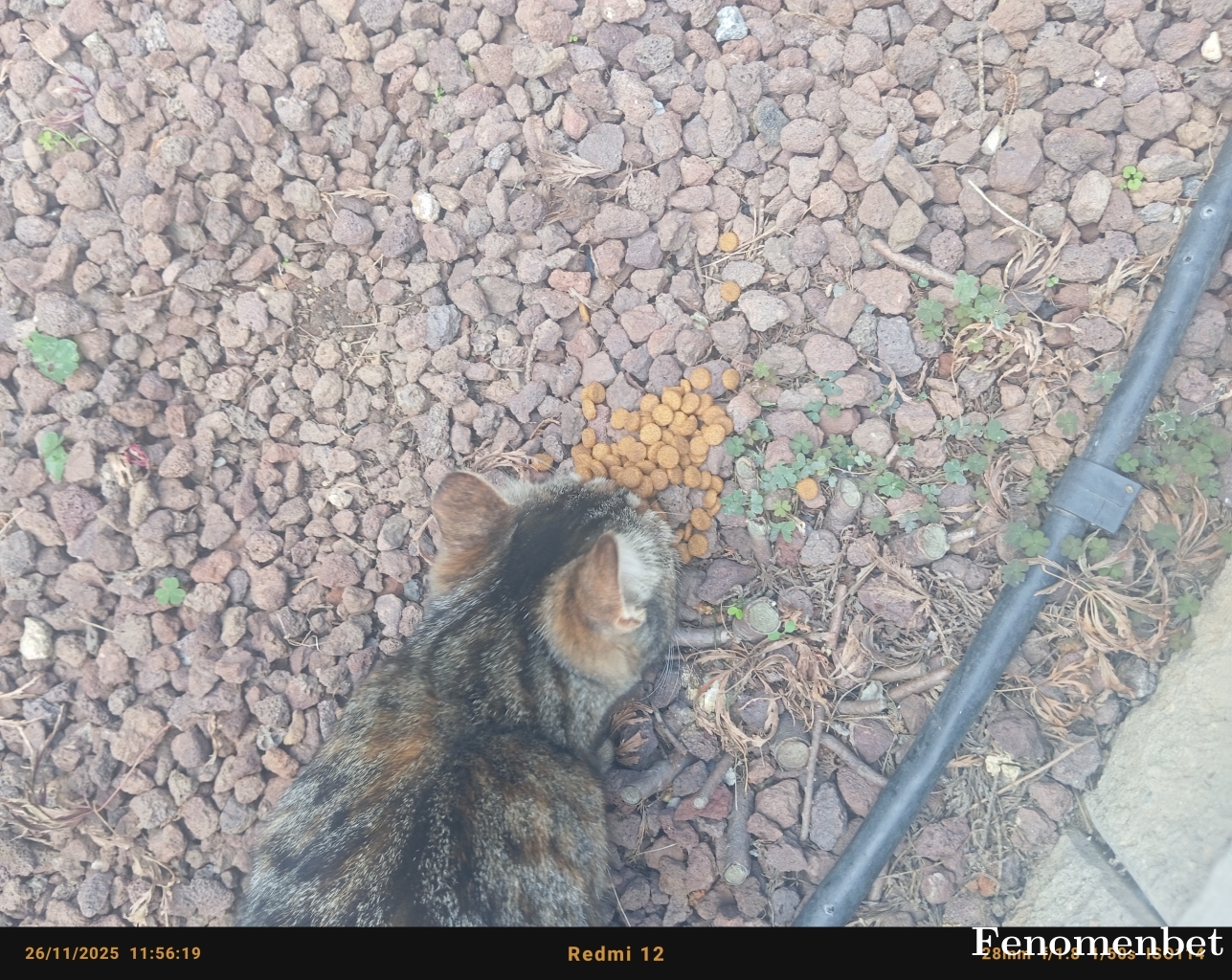 Balatapo06 tarafından paylaşıldı