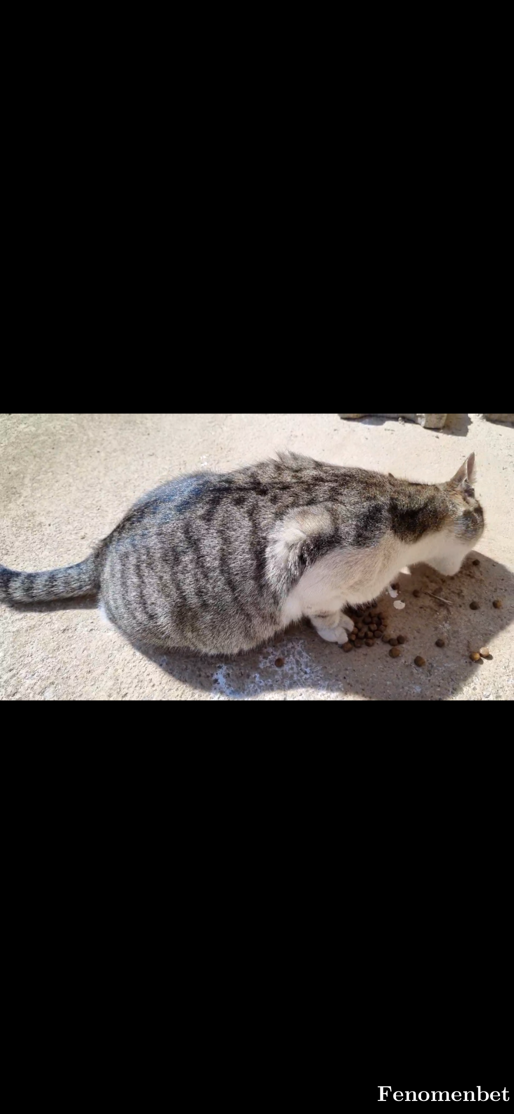 Polina520 tarafından paylaşıldı