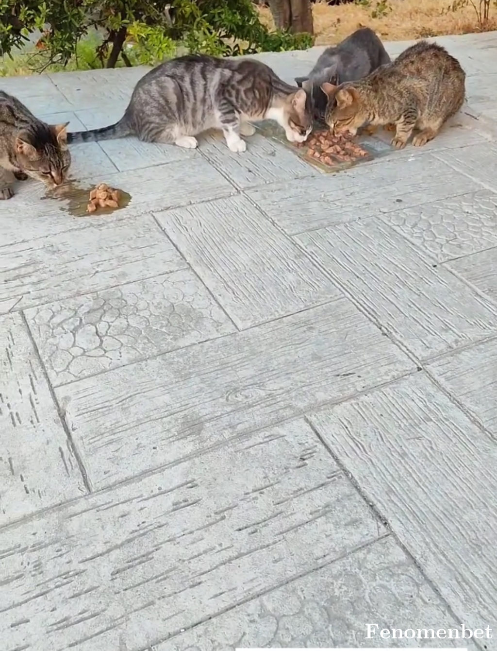 sehim tarafından paylaşıldı