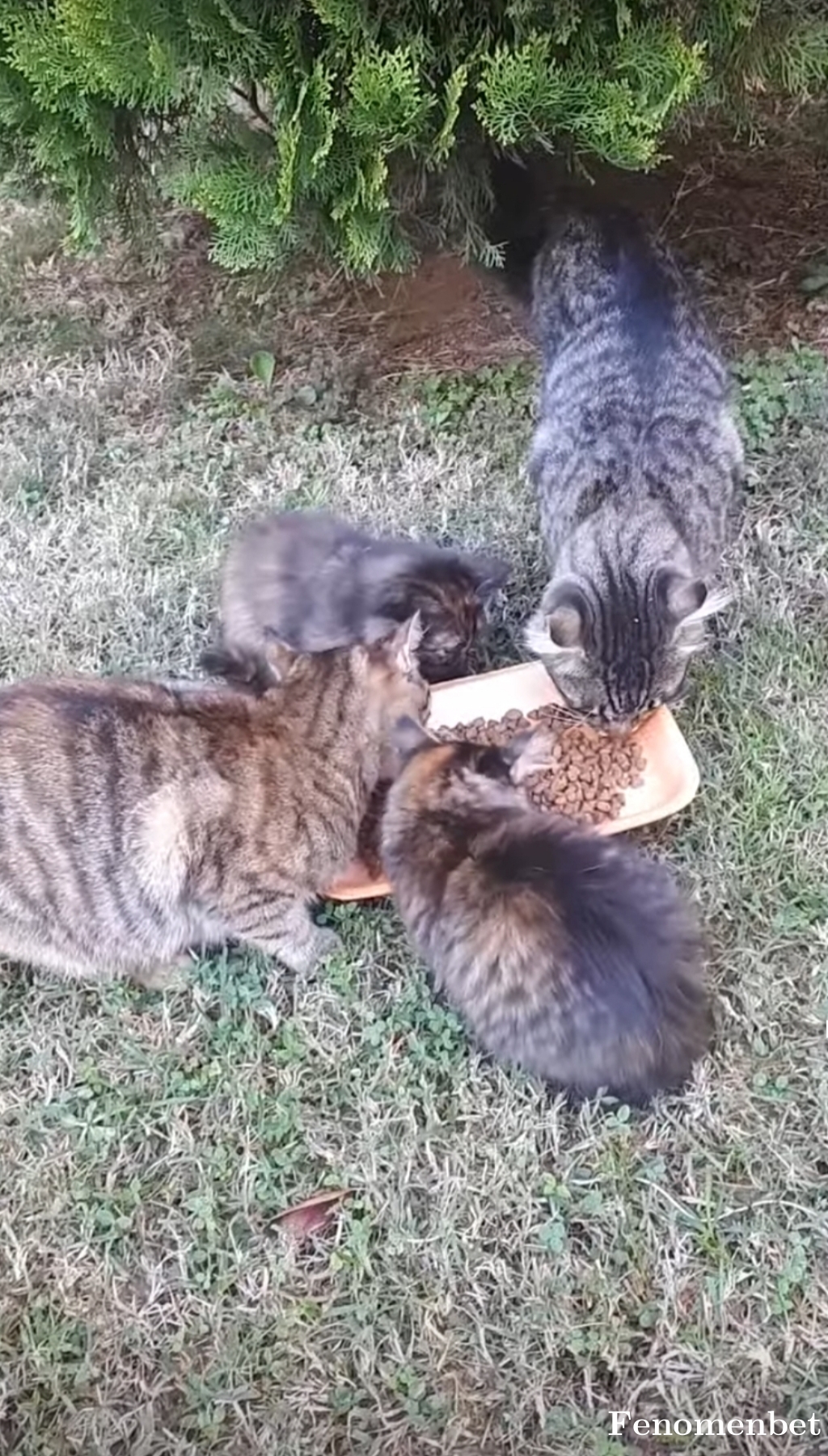 Emin2689 tarafından paylaşıldı