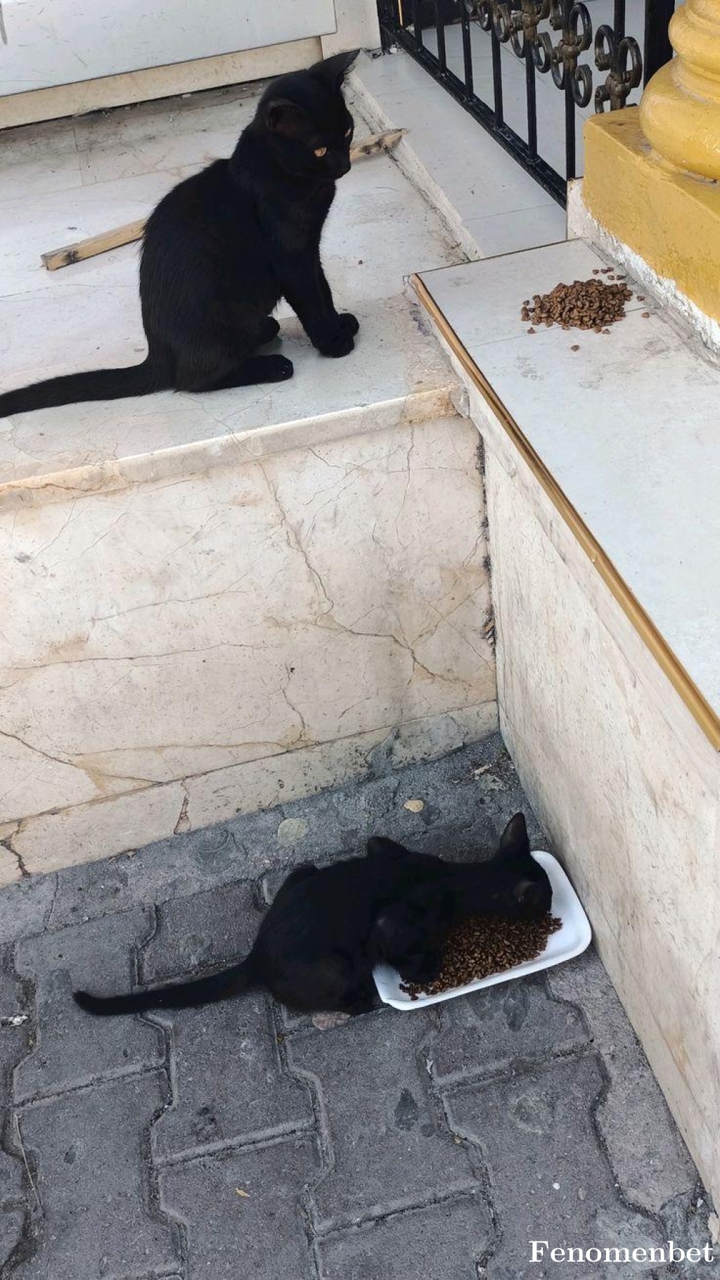 Nsarac tarafından paylaşıldı