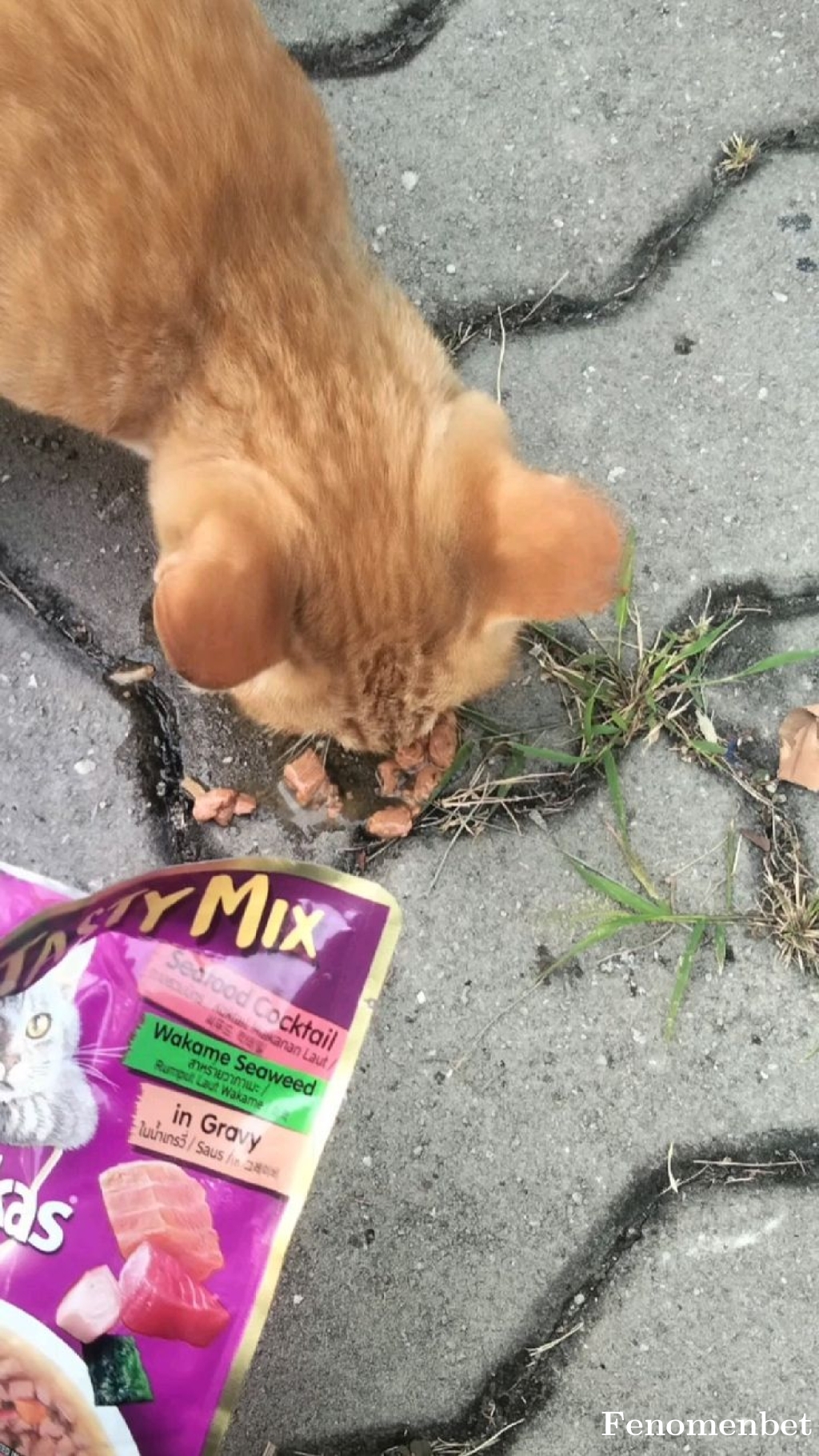 memooreal tarafından paylaşıldı