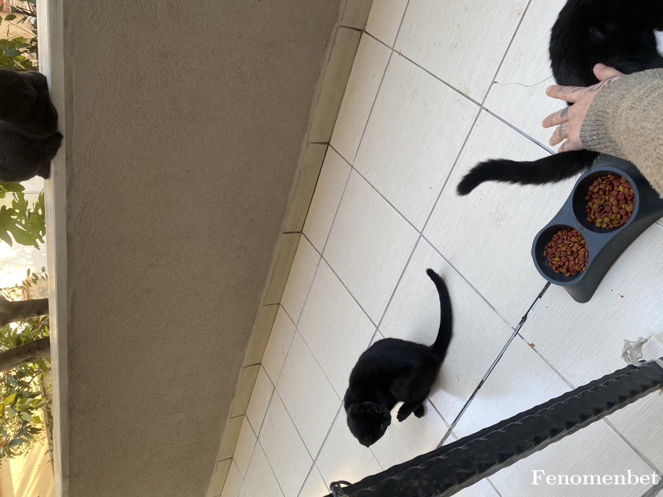 Oznurkartall tarafından paylaşıldı