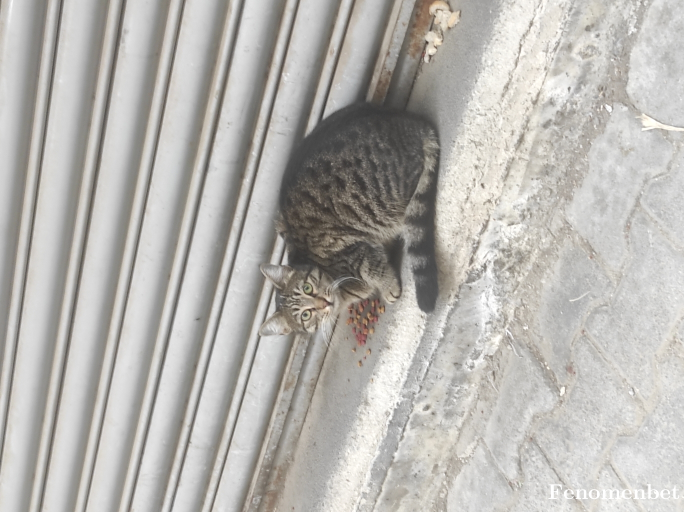 Jackmrs tarafından paylaşıldı