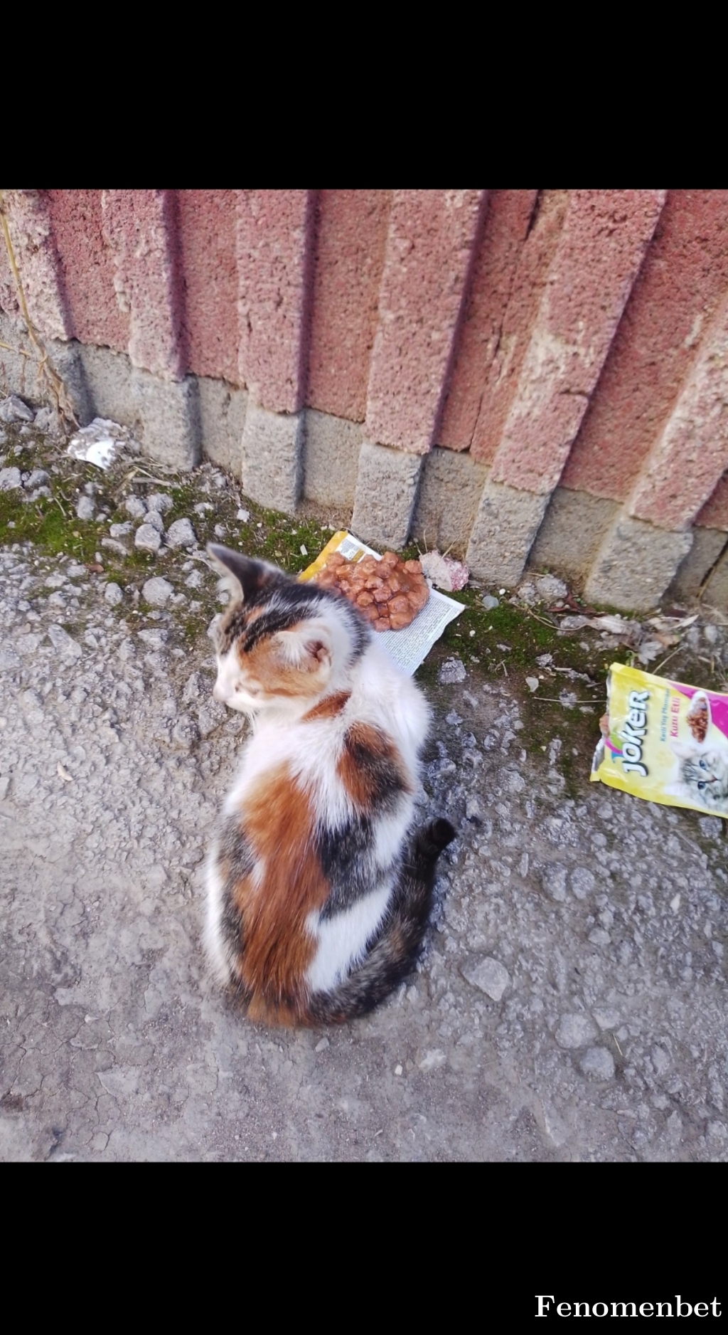 Nobleblood3568 tarafından paylaşıldı