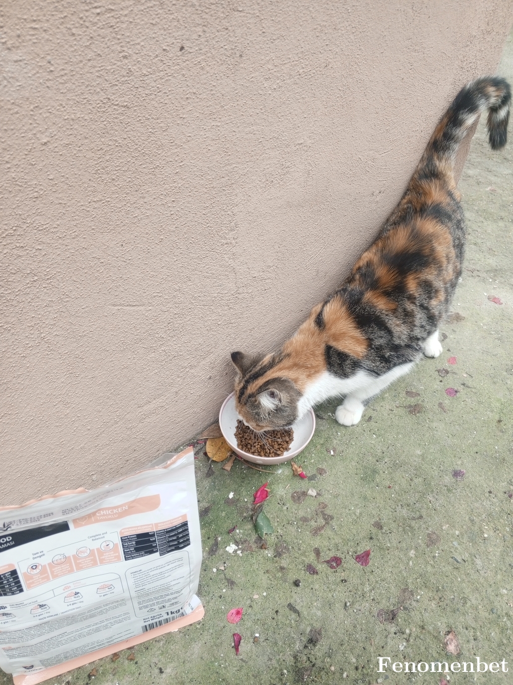 dukan54 tarafından paylaşıldı